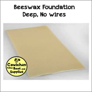 Wax Foundation Unwired.  Deep