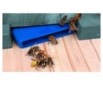 Blue HiveGate Hive gate