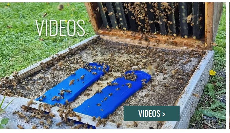 Blue HiveGate Hive gate