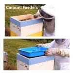 ceracell top feeder