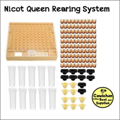 Nicot queen rearing system