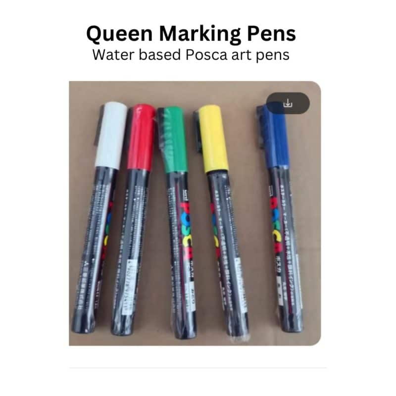 queen marking pens. water based. 5 colours