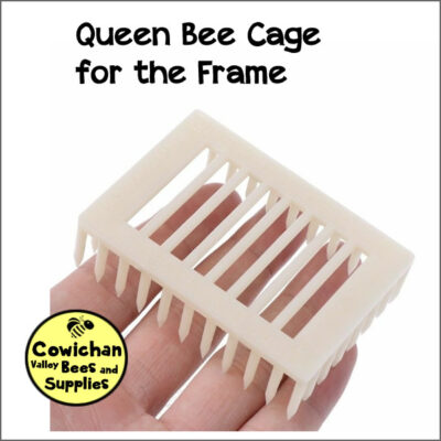 Queen bee needle cage for on the frame