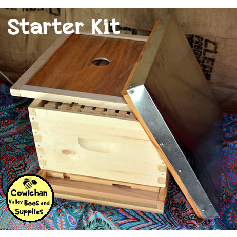 Bee Starter kit