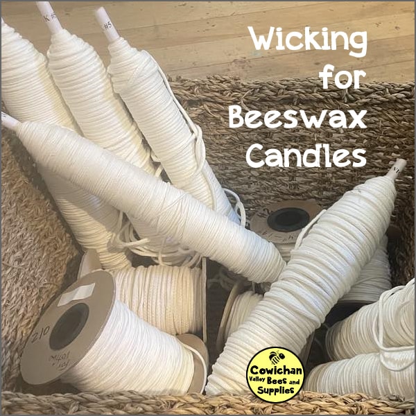 Wicks for Beeswax Wicking